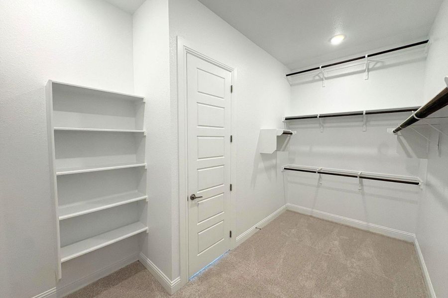 Spacious walk-in closet featuring built-in shelving, multiple hanging rods, and light-toned carpeting