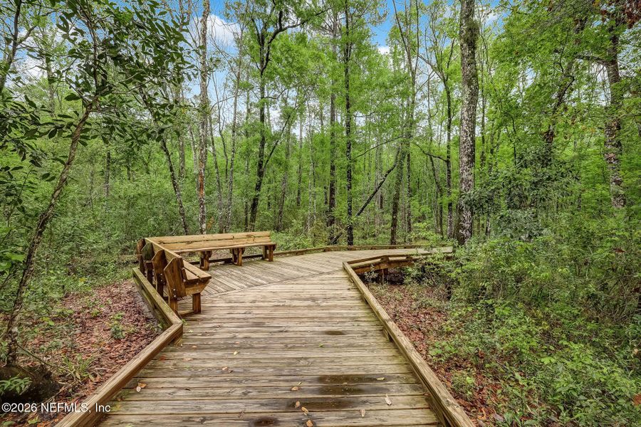 Natural landscape and outdoor views near  in St. Augustine (Image 71).