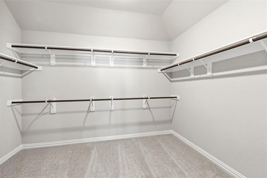 Spacious closet featuring light colored carpet