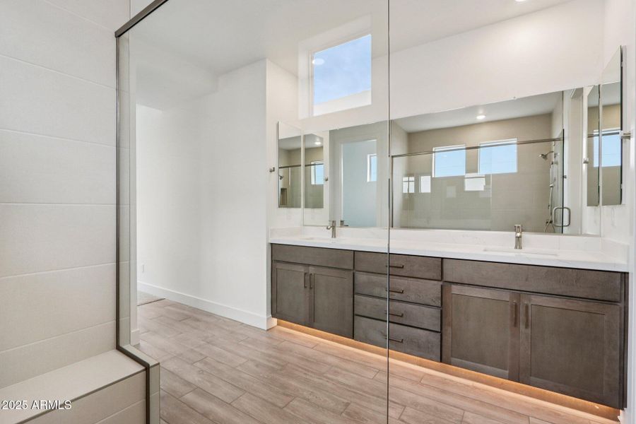 Primary Bathroom View C