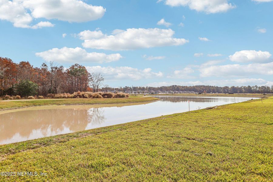 Natural landscape and outdoor views near Cypress Meadows - Signature Series in Jacksonville (Image 35).