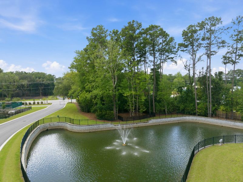 Natural landscape and outdoor views near  in Wando (Image 28).
