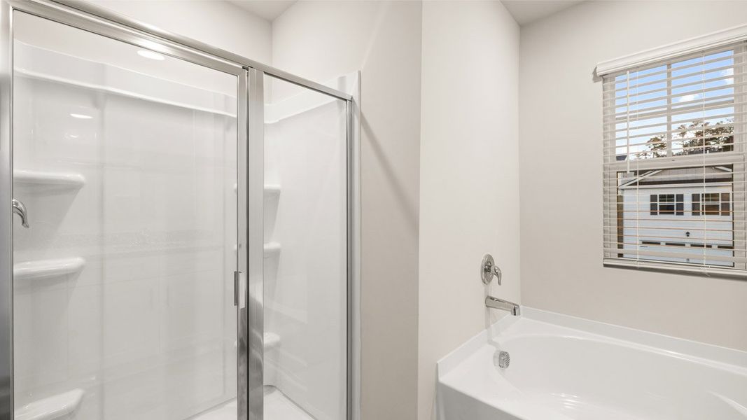 Furnished interior view inside a new home in Southwind Village, Evans (Image 16).