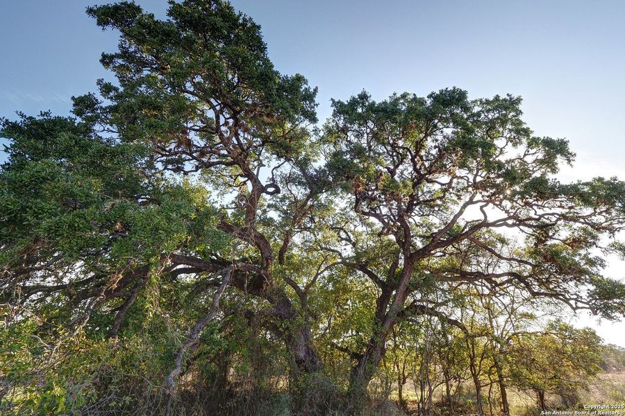 Image 36 of a home in Veramendi 60'.