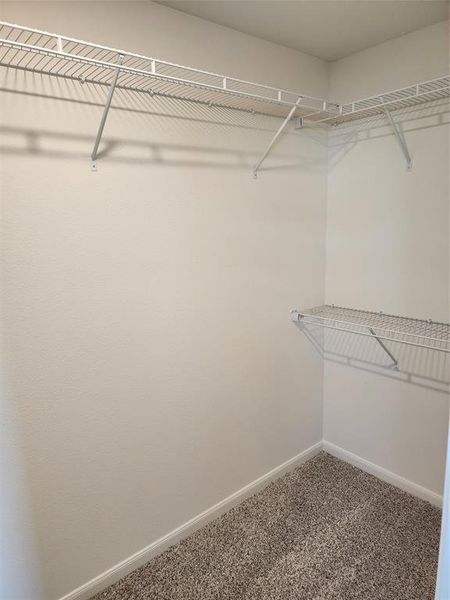 Spacious closet with carpet Spacious closet with carpet