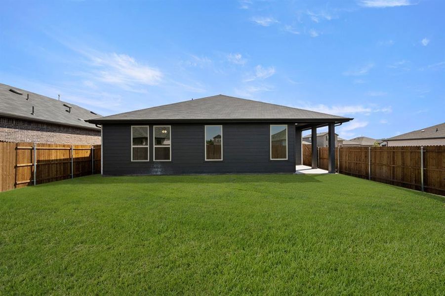 3132 Areca- Back-2 3132 Areca- Back-2