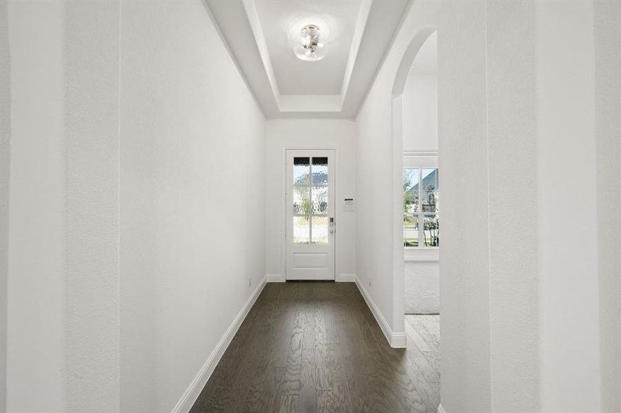 220 Pine Leaf- Entry-1 220 Pine Leaf- Entry-1