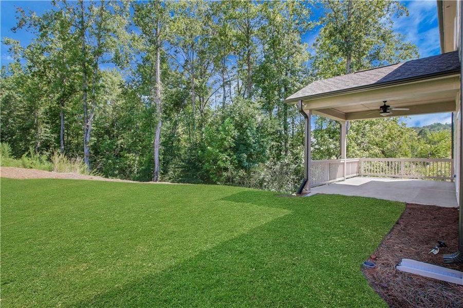 Exterior details and patio area of a home in Marble Tree, Ball Ground (Image 4).