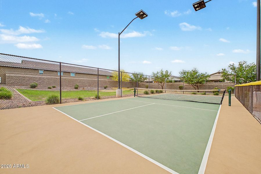 Pickleball Court