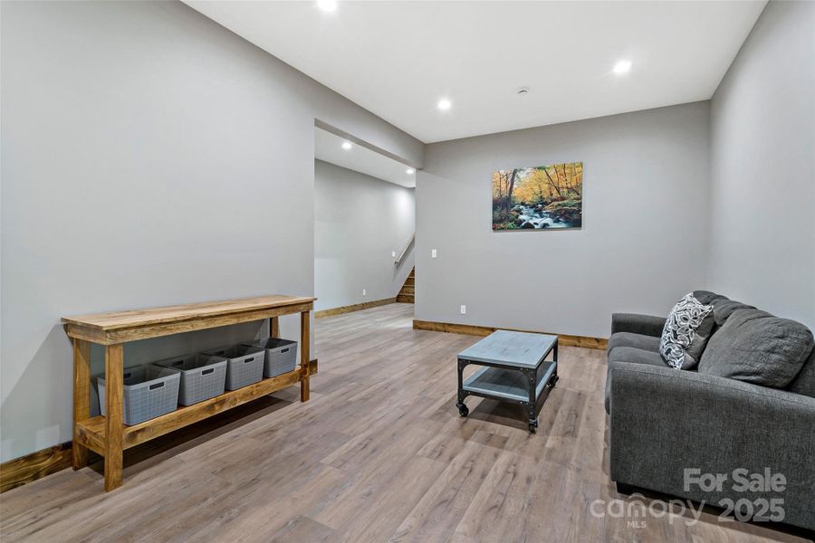 2nd living room in basement 2nd living room in basement