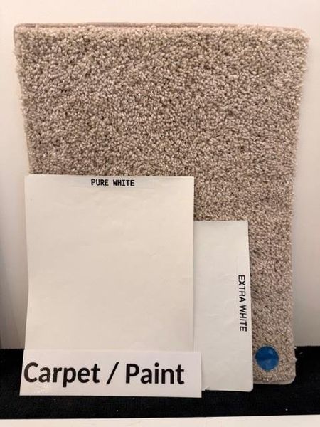 Carpet & Paint