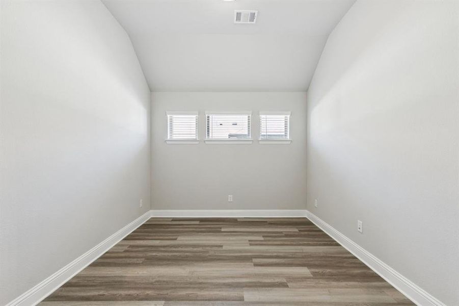 2-4221Equine_002 2-4221Equine_002