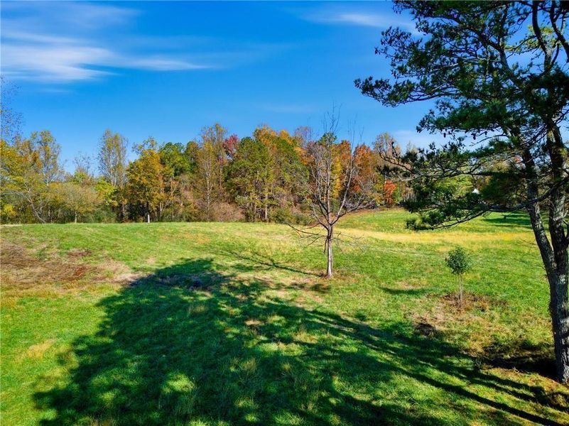 Natural landscape and outdoor views near  in Alpharetta (Image 16).