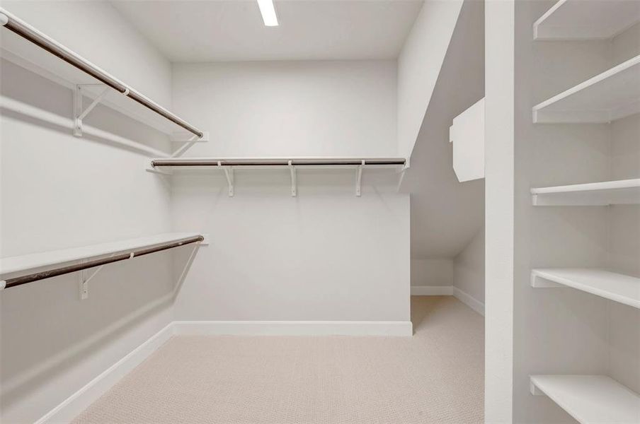 Walk-in closet featuring light-colored carpeting, white baseboards, and built-in shelving
