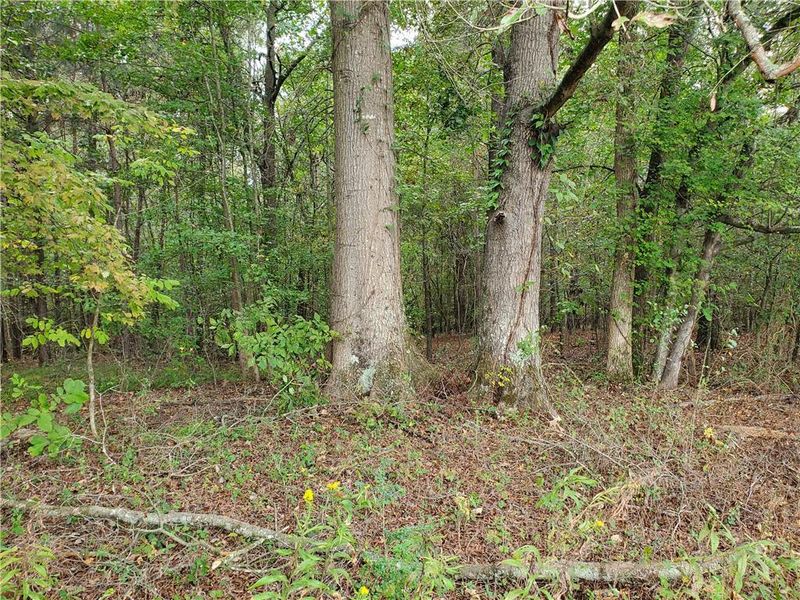 Natural landscape and outdoor views near in Resaca (Image 57). Natural landscape and outdoor views near in Resaca (Image 57).