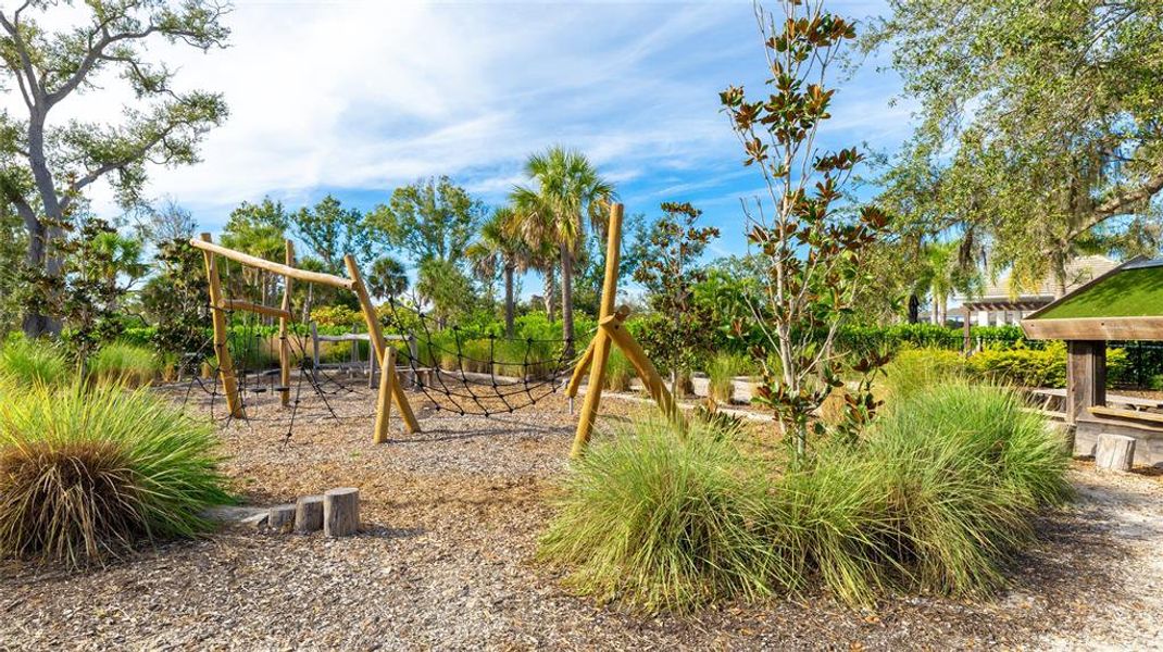 Natural landscape and outdoor views near Palmero in Nokomis (Image 40).