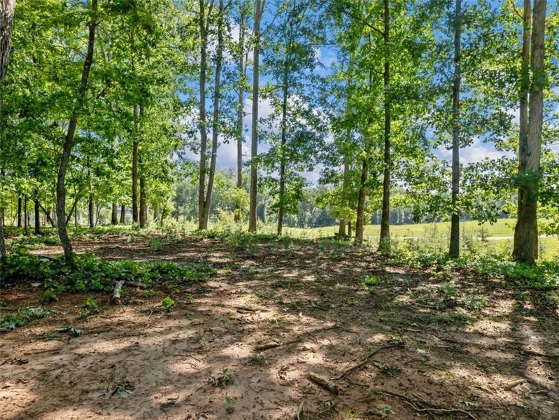 Natural landscape and outdoor views near in Cleveland (Image 42). Natural landscape and outdoor views near in Cleveland (Image 42).