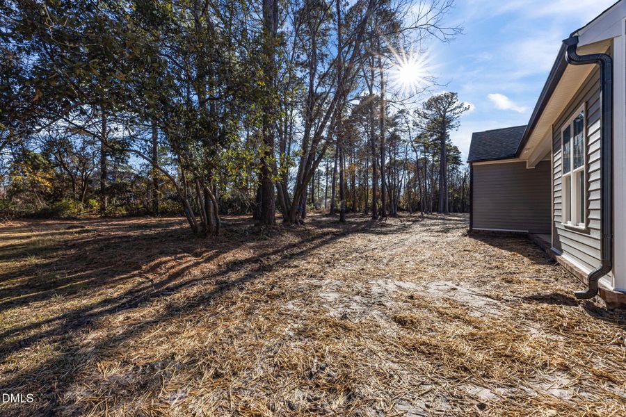 42-web-or-mls-0C0A9483