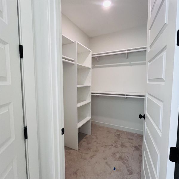 1 of 2 Walk-in closets in the primary bedroom suite featuring built-in shelving, dual hanging rods, and recessed lighting