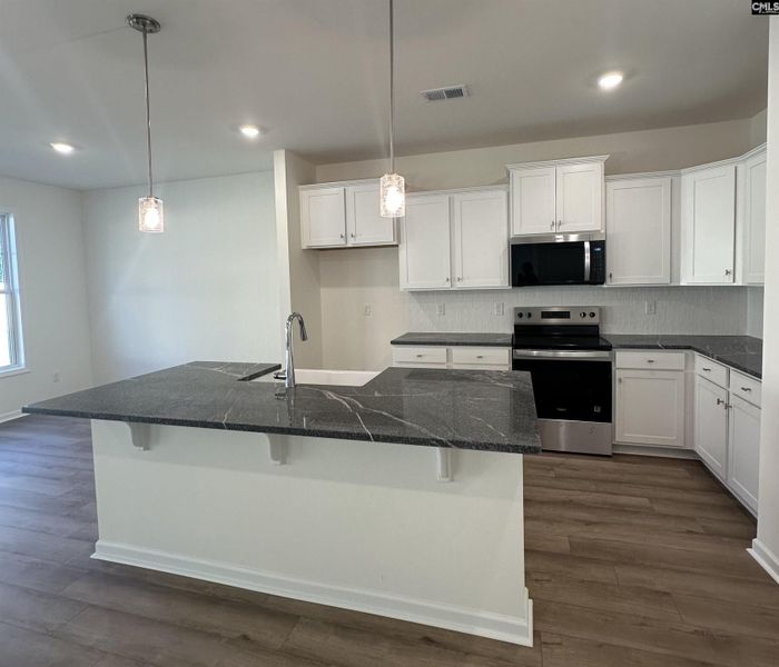 Furnished interior view inside a new home in Boykin Hills, Chapin (Image 4).