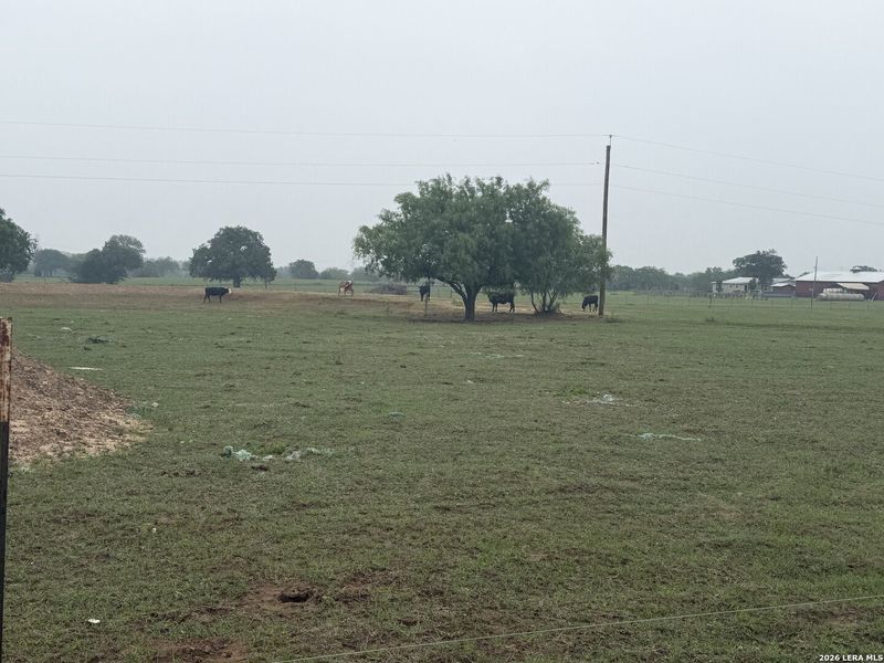 Natural landscape and outdoor views near  in Seguin (Image 24).