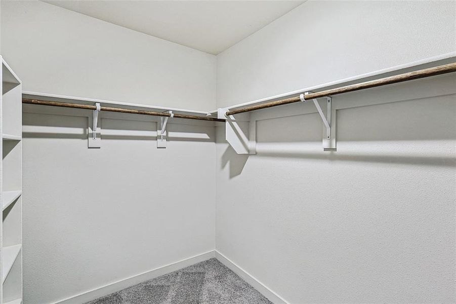 Spacious closet featuring carpet