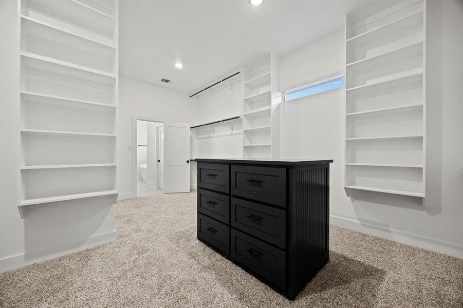 Walk in closet featuring carpet floors and visible vents