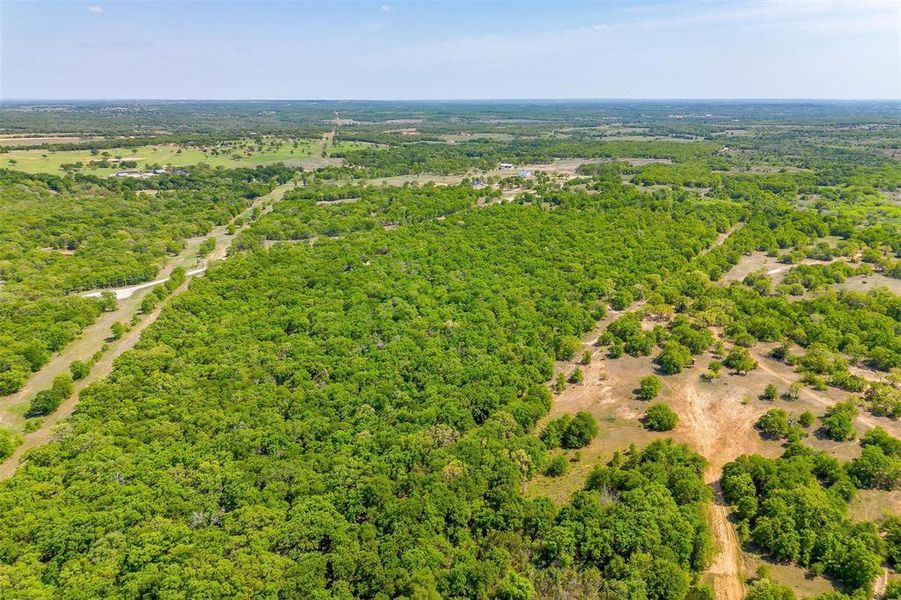 Natural landscape and outdoor views near  in Perrin (Image 29).