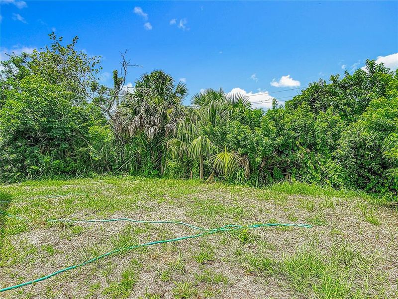Natural landscape and outdoor views near  in Sanford (Image 37).
