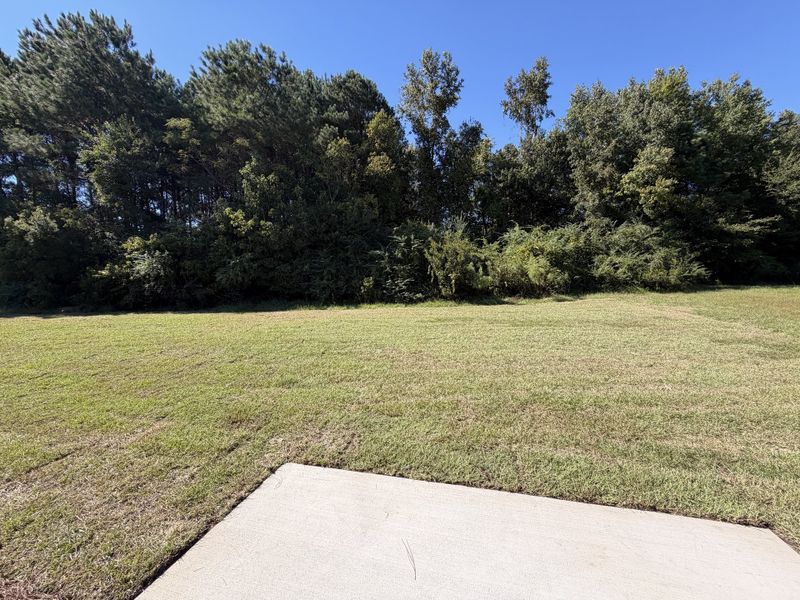 Natural landscape and outdoor views near Waterfall Estates in Whiteville (Image 28).