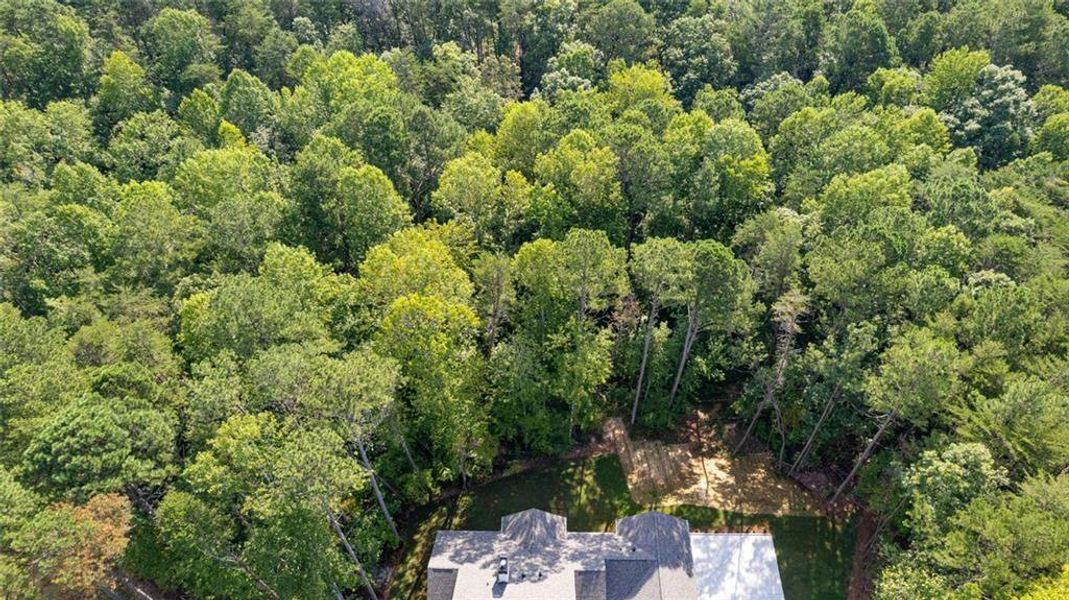 Natural landscape and outdoor views near  in Ball Ground (Image 55).