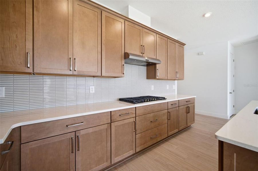 Furnished interior view inside a new home in Coasterra, Palmetto (Image 12).