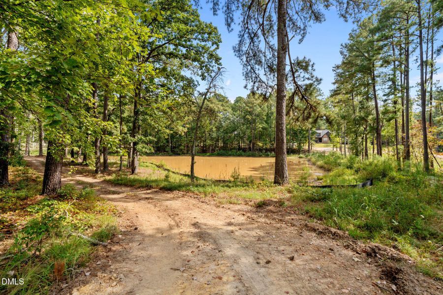 47-web-or-mls-DSC06329