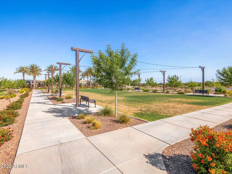 079-IMG_0347 079-IMG_0347