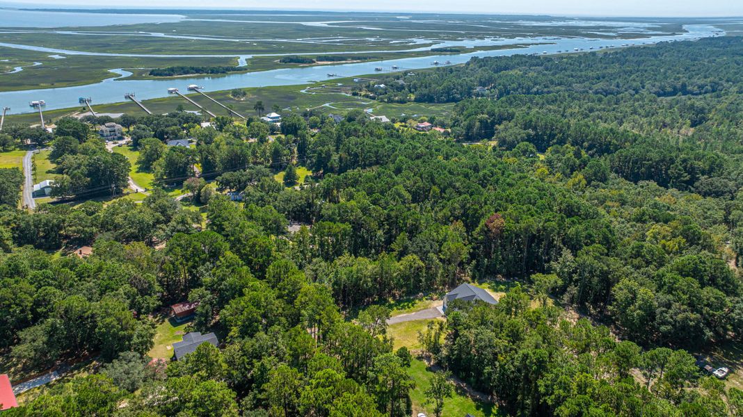 Natural landscape and outdoor views near  in Awendaw (Image 41).