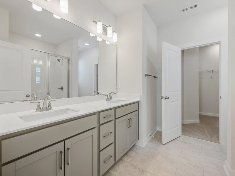 Owner's Bath