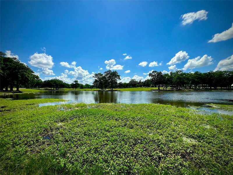 Image 16 of a home in . Image 16 of a home in .