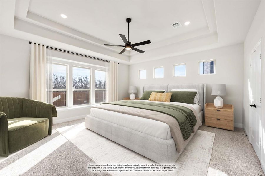 Spacious master bedroom with tray ceiling, ceiling fan, large windows, and neutral carpet flooring