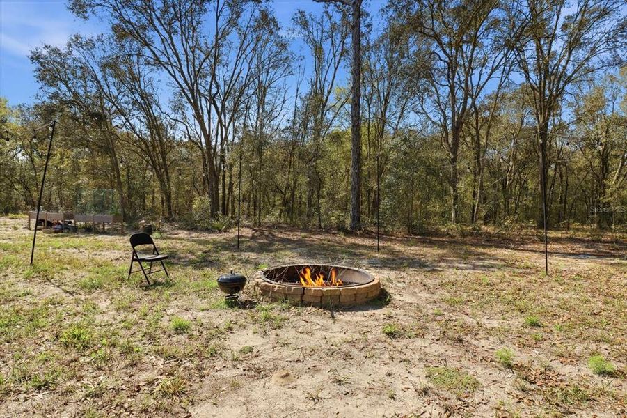 Natural landscape and outdoor views near  in Bronson (Image 35).