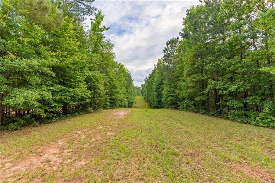Natural landscape and outdoor views near in Monticello (Image 42). Natural landscape and outdoor views near in Monticello (Image 42).