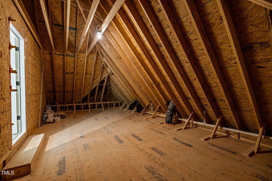 40-web-or-mls-5Z8A1207