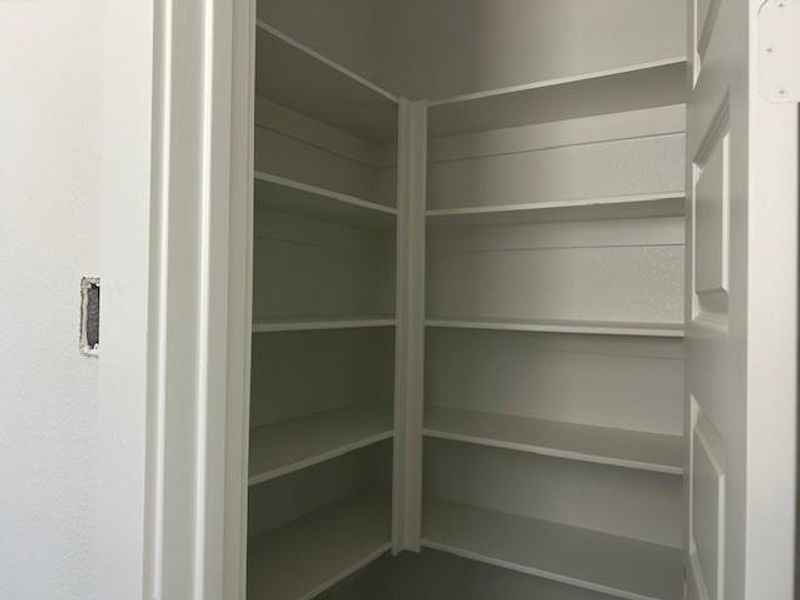 Walk-in pantry across from the butler's pantry