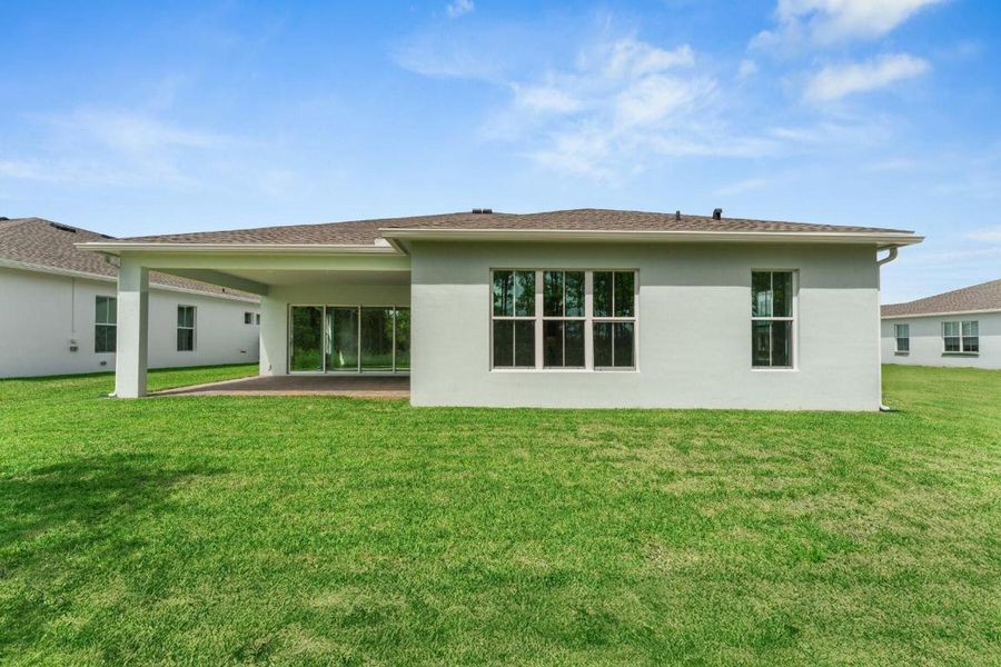 Backyard & Covered Patio