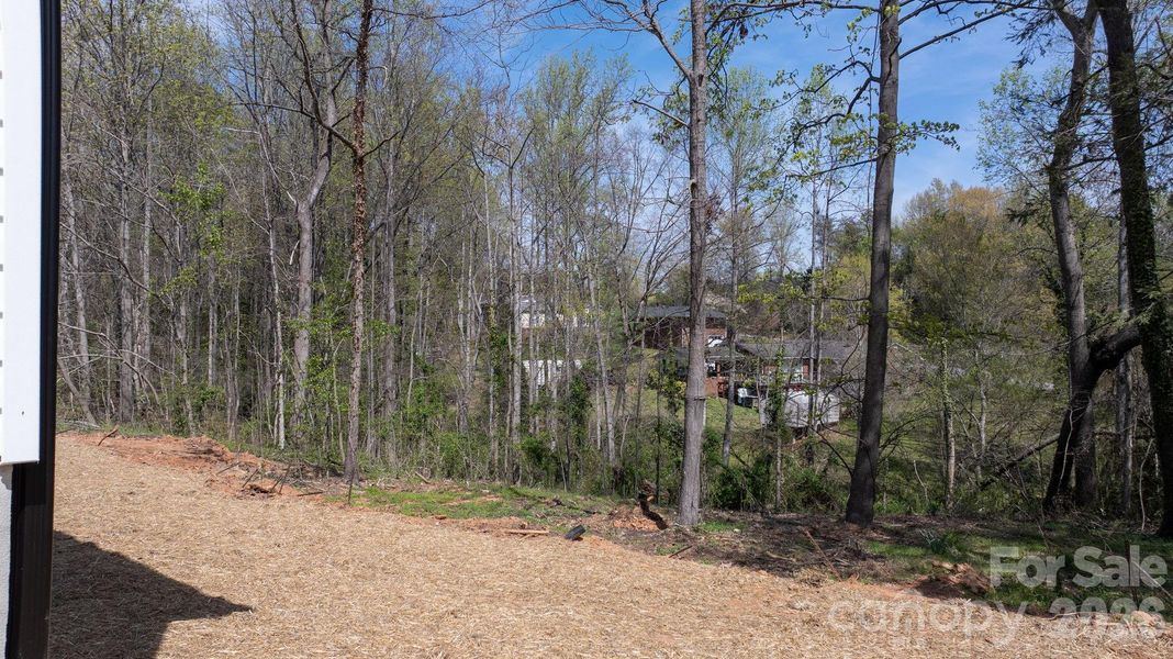 Natural landscape and outdoor views near  in Hickory (Image 41).