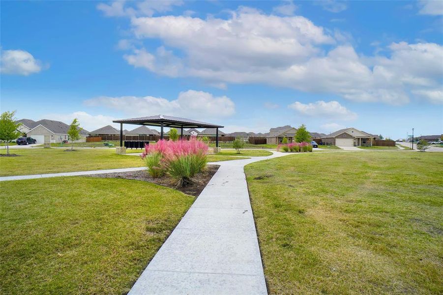 Natural landscape and outdoor views near  in Forney (Image 30).