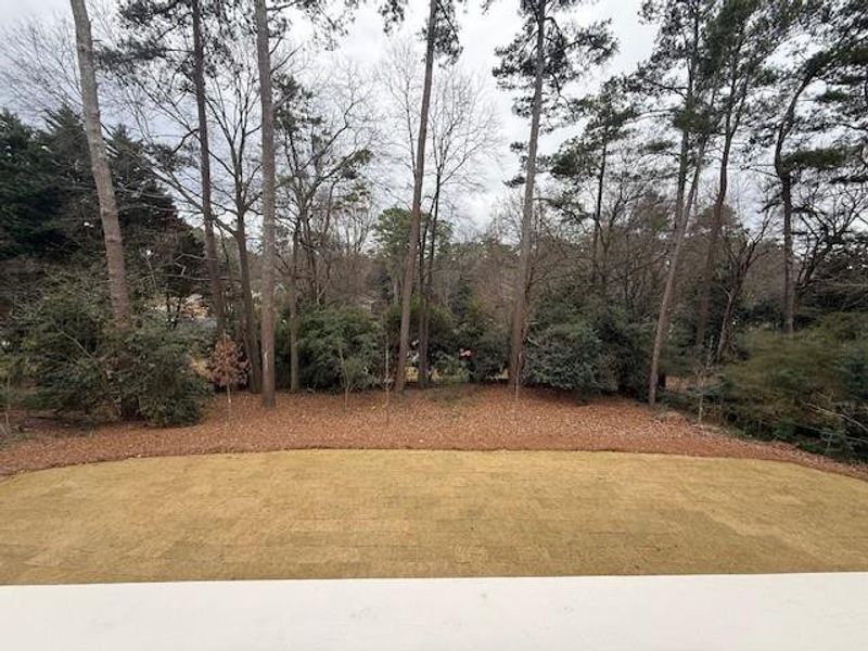 Natural landscape and outdoor views near  in Atlanta (Image 11).