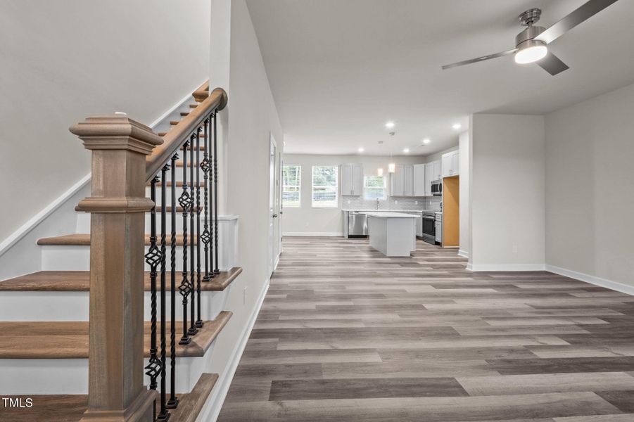 47-web-or-mls-P1078599_1