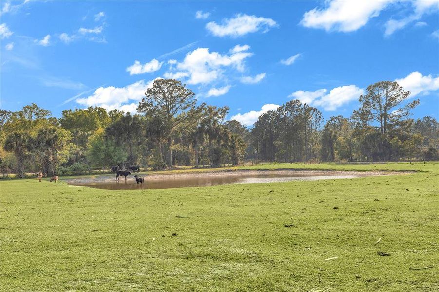 Natural landscape and outdoor views near  in Osteen (Image 38).