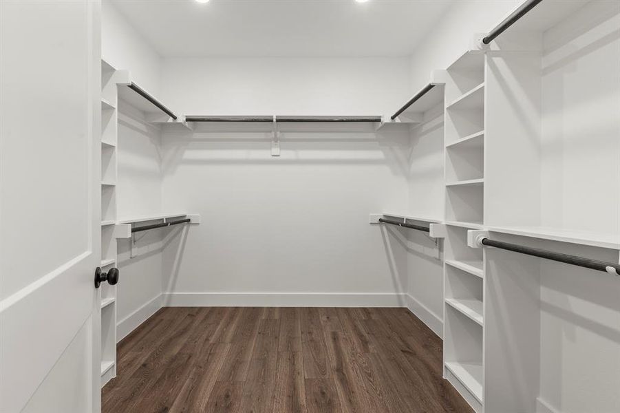 Spacious closet with dark wood-type flooring