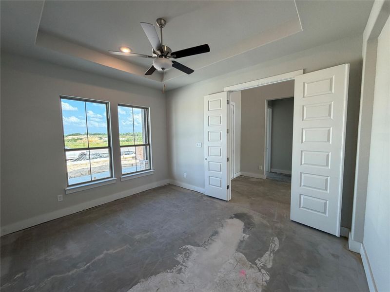 French Doors in Study